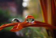 Waterdrop raises $144m in Series C, just months after closing former round