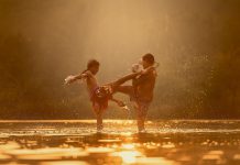 Should a firm choose cyber insurance or cyber risk management?