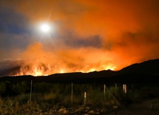 Delos secures funding to insure homes at risk of wildfires