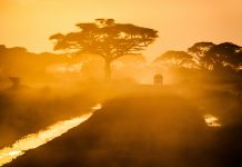 African-insurance-extreme-weather-parametric-insurtech
