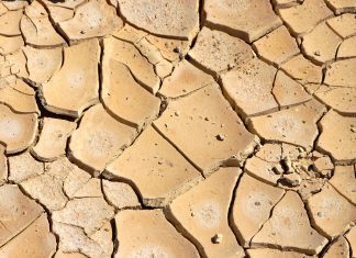 Agri-InsurTech-IBISA-weather-protection-insurance-insurtech-funding-parametric