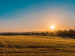 Harvesting Farmer Network raises $4m to help farms with credit risk