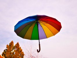new-delhi-based-insurtech-zopper-raises-75m