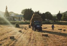 Nationwide-partners-quanturi-haytech-agricultural-losses