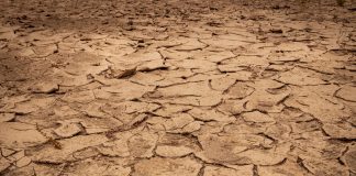 PCRIC-to-launch-early-trigger-drought-protection-COP27