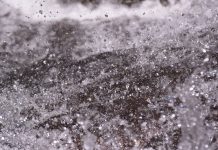 McKenzie Intelligence launches product to accelerate response to hailstorm events McKenzie-Intelligence-launches-product-to-accelerate-response-to-hailstorm-events