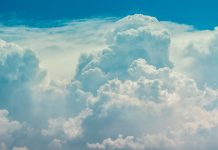 cloud-native-insurance-platform-novidea-experiences-strong-growth-in-2022