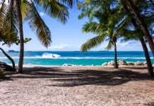 InsurTech-novidea-selected-by-jamaican-insurance-broker-AIB