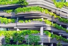 Lloyd's