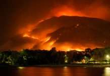 amwins-insurance-launches-specialise-wildfire-product-for-california