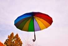 Bdeo locks in €7.5m to revolutionise InsurTech with AI Bdeo locks in €7.5m to revolutionise InsurTech with AI