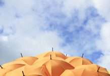 Delos Insurance Solutions has secured $7.3m in a seed extension round, in a significant move to address the issue of homeowners’ insurance availability in wildfire-prone areas.