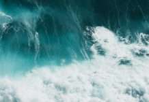 European boutique Managing General Agent (MGA) Alta Signa Europe B.V. has launched a dedicated European Marine underwriting business.