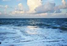 Pacific Life Re, a key player in the global reinsurance industry, has implemented strategic changes in its organisational structure to enhance client support and achieve ambitious growth objectives.