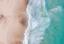 ShoreOne Insurance Company has announced the appointment of a new Chief Claims Officer, as the firm looks to drive efficiency.