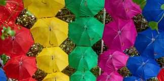 CLARA Analytics, a prominent provider of artificial intelligence (AI) technology for insurance claims optimisation, has announced two significant appointments.