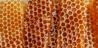 Honeycomb Insurance, a leading InsurTech company focused on providing innovative insurance solutions, has launched a new property qualification programme.