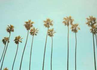 Emerald Bay and Lightspeed unveil partnership to provide comprehensive insurance coverage in California Emerald Bay and Lightspeed unveil partnership to provide comprehensive insurance coverage in California