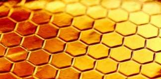 Honeycomb Insurance, a leading managing general agent (MGA) specialising in landlord and condo association insurance, has broadened its reach into Washington and Maryland, meaning the firm now insures over $35bn in assets.