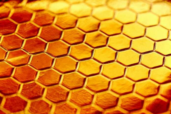 Honeycomb Insurance, a leading managing general agent (MGA) specialising in landlord and condo association insurance, has broadened its reach into Washington and Maryland, meaning the firm now insures over $35bn in assets.