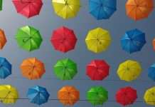 IntellectAI and InsureMO partner to power Incarnation Specialty’s insurance transformation Incarnation Specialty has chosen IntellectAI’s end-to-end underwriting ecosystem to streamline the management and underwriting of submissions, alongside InsureMO's middleware capabilities.