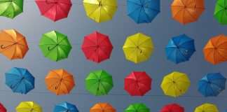 Incarnation Specialty has chosen IntellectAI’s end-to-end underwriting ecosystem to streamline the management and underwriting of submissions, alongside InsureMO's middleware capabilities.