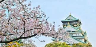 Prudential Financial and Dai-ichi Life have announced they are forming a strategic partnership to strengthen their product distribution and asset management capabilities.