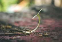 Superscript, a provider of customisable business insurance, has appointed Stephen Taylor as its new head of commercial.