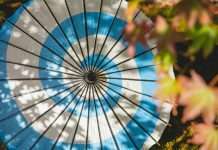 Insurity, a provider of cloud-based software for insurance carriers, brokers, and MGAs, has announced that OIP Insurtech has become a System Integrator (SI) partner.