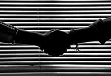 New Dawn Risk adopts Novidea’s insurance management platform