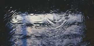 Floodbase, the world-leading platform for insuring uncovered flood risk, and Yokahu, a pioneering insurance intermediary specialising in catastrophe risk, have announced a partnership to launch new automated parametric flood insurance policies for businesses in New Orleans.