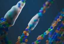 Nationwide and Kadance partner to offer genomics-based health support to life insurance policyholders Nationwide, a leading US-based insurance and financial services provider, has announced a partnership with Kadance to deliver personalised, DNA-driven health support to life insurance customers.