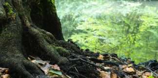 HUB International, a leading global insurance brokerage, has launched HUB Private Client Small Business Solutions, an offering developed to cater to high-net-worth individuals starting or managing entrepreneurial ventures.