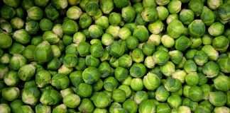 Scottish Widows, a leading life insurance and pensions provider and part of Lloyds Banking Group, has entered into a partnership with Sprout.ai to pilot artificial intelligence (AI) solutions that aim to transform the insurance claims and underwriting process.