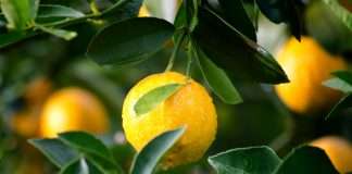 ZestyAI, a leading provider of AI-powered risk analytics for the insurance sector, has received regulatory approval from the Ohio Department of Insurance for its Severe Convective Storm suite.