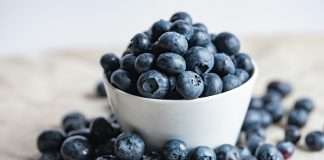 Blueberry Life, a UK-based InsurTech company focused on redefining the future of life insurance, has launched a crowdfunding campaign on CrowdCube to support its new longevity subscription.