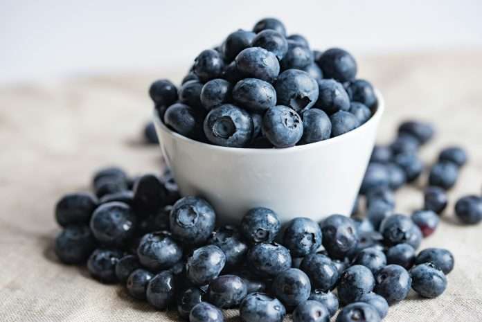 Blueberry Life, a UK-based InsurTech company focused on redefining the future of life insurance, has launched a crowdfunding campaign on CrowdCube to support its new longevity subscription.