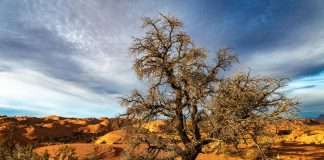 Cyber insurance startup Baobab, a Germany-based InsurTech firm specialising in AI-driven cyber protection, has raised €12m in a Series A funding round aimed at expanding its operations across Europe.