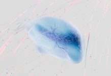 Plutus, a newly launched company founded by former ServiceNow executives, has entered the market with a focus on developing AI-native solutions for the insurance industry.