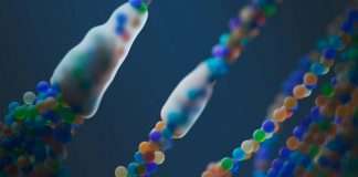 dacadoo has launched Generation 5 of its digital health engagement platform, with new features designed to give users clearer insight into their wellbeing and clients more flexibility in how the platform is delivered.