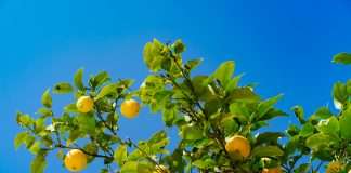 Southern Oak Insurance Company, a Florida-based insurer, has partnered with ZestyAI, an artificial intelligence-driven property risk analytics platform, to strengthen its visibility into property condition and exposure across its homeowners portfolio.