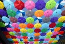 Gradient AI powers smarter health insurance solutions for Community Health Options Community Health Options, a Maine-based nonprofit health insurer, has selected Gradient AI to help improve its risk management processes for group health clients.