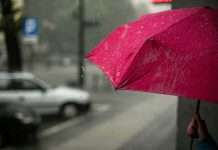 AI neo-insurer MGT secures $21.6m Series B funding