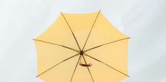 Insurers are dreaming of AI, but many are still anchored to outdated systems. A 2024 Novidea survey found that 41% of insurance professionals admit their core systems haven’t been updated in over five years. Even more striking, 76% of large firms rely on six or more systems, and nearly a fifth operate with ten or more. This tangled web of legacy technology undermines data quality, security, and scalability, threatening the very potential of AI to transform business.