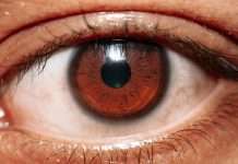 Irys, an InsurTech company rebuilding insurance infrastructure from the ground up, has raised $12.5m in a seed round led by Markd, with participation from Deepwork Capital, Florida Opportunity Fund, Ansay & Associates, HICO Ventures, and JMG Capital.