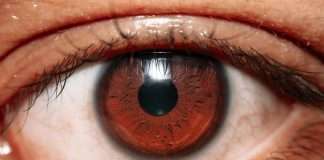 Irys, an InsurTech company rebuilding insurance infrastructure from the ground up, has raised $12.5m in a seed round led by Markd, with participation from Deepwork Capital, Florida Opportunity Fund, Ansay & Associates, HICO Ventures, and JMG Capital.