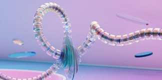 For decades, provider support in health plans has relied on call centres to handle benefit verifications, claim checks, and credentialing updates. While necessary, these interactions are repetitive, slow, and costly. Benefits verification alone can account for 60–70% of calls, highlighting the inefficiency of traditional provider support models.