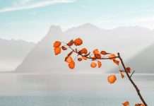 Akur8, a next-generation insurance pricing and reserving solution, has been selected by Branch, an innovative insurance company leveraging data, technology, and automation, to transform its actuarial workflows.