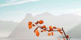 Akur8, a next-generation insurance pricing and reserving solution, has been selected by Branch, an innovative insurance company leveraging data, technology, and automation, to transform its actuarial workflows.