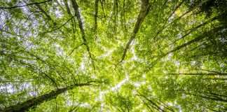 In today’s insurance market, capacity is shifting, and with it, new models are emerging. As traditional insurers retreat from volatile and emerging risks, hybrid fronting carriers are stepping up as essential players—particularly for MGAs looking to launch specialist programmes quickly. According to Novidea, these carriers offer a unique solution to the growing demand for flexible, responsive insurance structures.